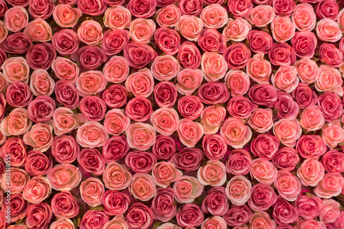 roses flower background made from paper © surachetkhamsuk