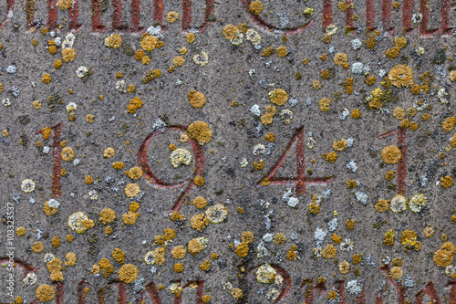 Poster Year 1941 carved in stone covering with moss