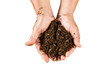 close up hand holding soil peat moss on isolated with clipping p
