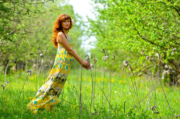 Wall Mural - young beautiful girl walks in the spring green apple orchard