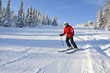 Woman down hill skiing in Lapland Finland ski resort on sunny day 