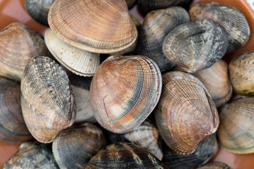 Detail of clams