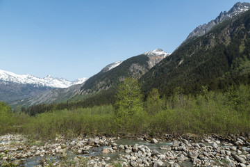 alaska's wilderness