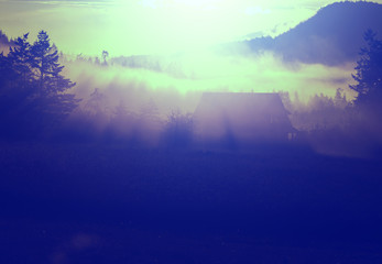  Fog on meadow