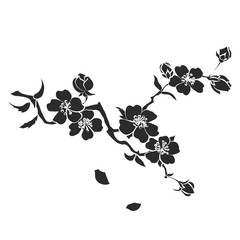 Wall Mural - twig cherry blossoms