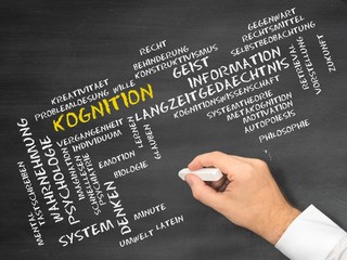 Poster - Kognition