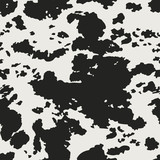 Fototapeta Konie - Background with Cow skin pattern