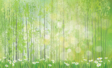 Wall Mural - vector summer landscape.