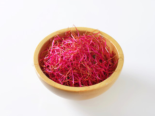 Canvas Print - Beetroot sprouts