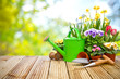 Frühling, Garten, Gartenarbeit, Gartenwerkzeug, Blumen