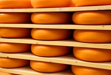 Forms Of Delicious Dutch Cheese