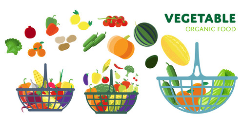 Wall Mural - Basket with vegetables, vector illustration. Three different baskets of vegetables from the farm.