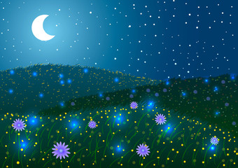 Wall Mural - 
Vector illustration. Green meadows and glowworms at night.