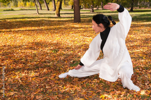 Fototapeta na szkło Praktyka kung fu