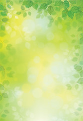 Wall Mural - Vector green leaves border on green bokeh background.