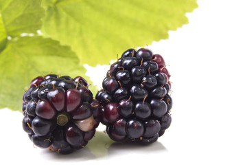 two ripe blackberries with leaves close