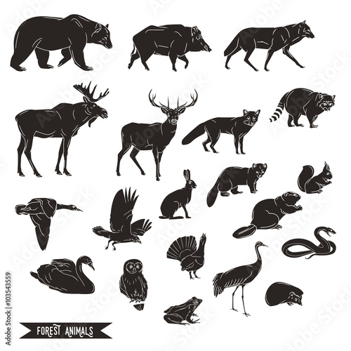 Forest animals silhouettes vintage. Vector illustration – Stock