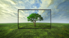 Colorful Wild Tree Concept Of Tv Background
