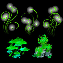 Fantastic Glowing Mushrooms And Polyps