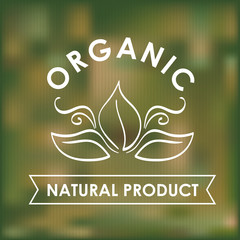 Sticker - Organic and Healthy food