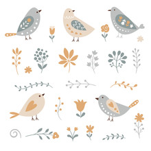 Set Of Graphic Floral Elements And Birds