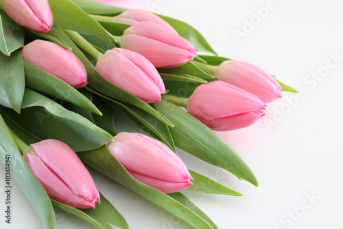 Tapeta ścienna na wymiar Rosa Tulpenstrauß