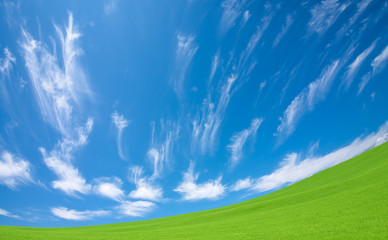 Wall Mural - Green grass and sky