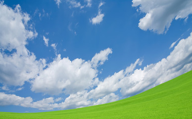 Wall Mural - Green grass and sky