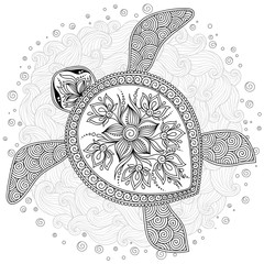 Coloring book pages for kids and adults. Decorative graphic turt