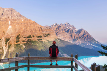 Wall Mural - Peyto lake