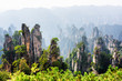 Quartz sandstone pillars, the Tianzi Mountains (Avatar Rocks)