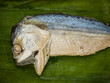Single short-bodied mackerel ( Rastrelliger brachysoma) on banana leaf