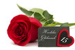 rote Rose mit Schiefertafel Jubiläum 15 Jahre