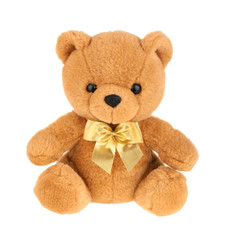 toy teddy bear isolated on white, without shadow.