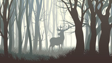 Horizontal Illustration Of Wild Elk In Wood.