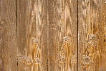 Wall Mural - Grain pine wood Texture Background