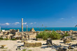 Tunisia. Ancient Carthage. Fragment of Antonine Baths - large column from frigidarium on left side