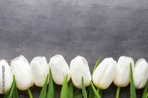 biale-tulipany-na-szarym-tle