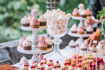 Delicious Wedding Cake and Candy Bar