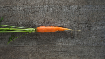 Wall Mural - Small carrot