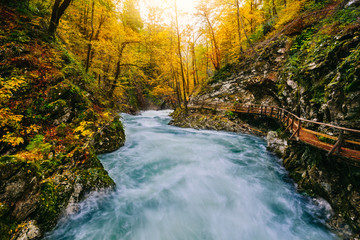 Wall Mural - The famous Vintgar Canyon with wooden pats,Bled,Triglav,Slovenia,Europe