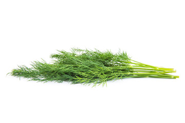 Wall Mural - bunch fresh dill herb isolated on white background