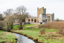 Tintern Abbey In Ireland