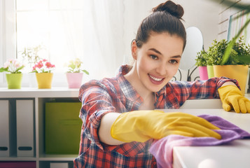 Wall Mural - woman makes cleaning