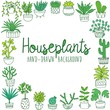 © gala.draw - Hand drawn houseplant banner