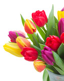 Fototapeta Tulipany - bouquet of  yellow, purple and red  tulips