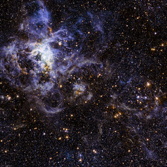 Wall Mural - stars nebula in space. elements of this image furnished by nasa