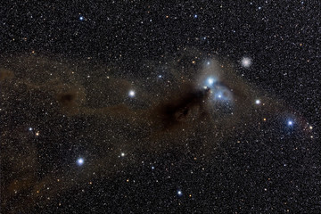 Wall Mural - stars nebula in space. elements of this image furnished by nasa