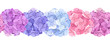 Vector horizontal seamless background with pink, blue and purple hydrangea flowers.