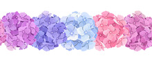 Vector Horizontal Seamless Background With Pink, Blue And Purple Hydrangea Flowers.